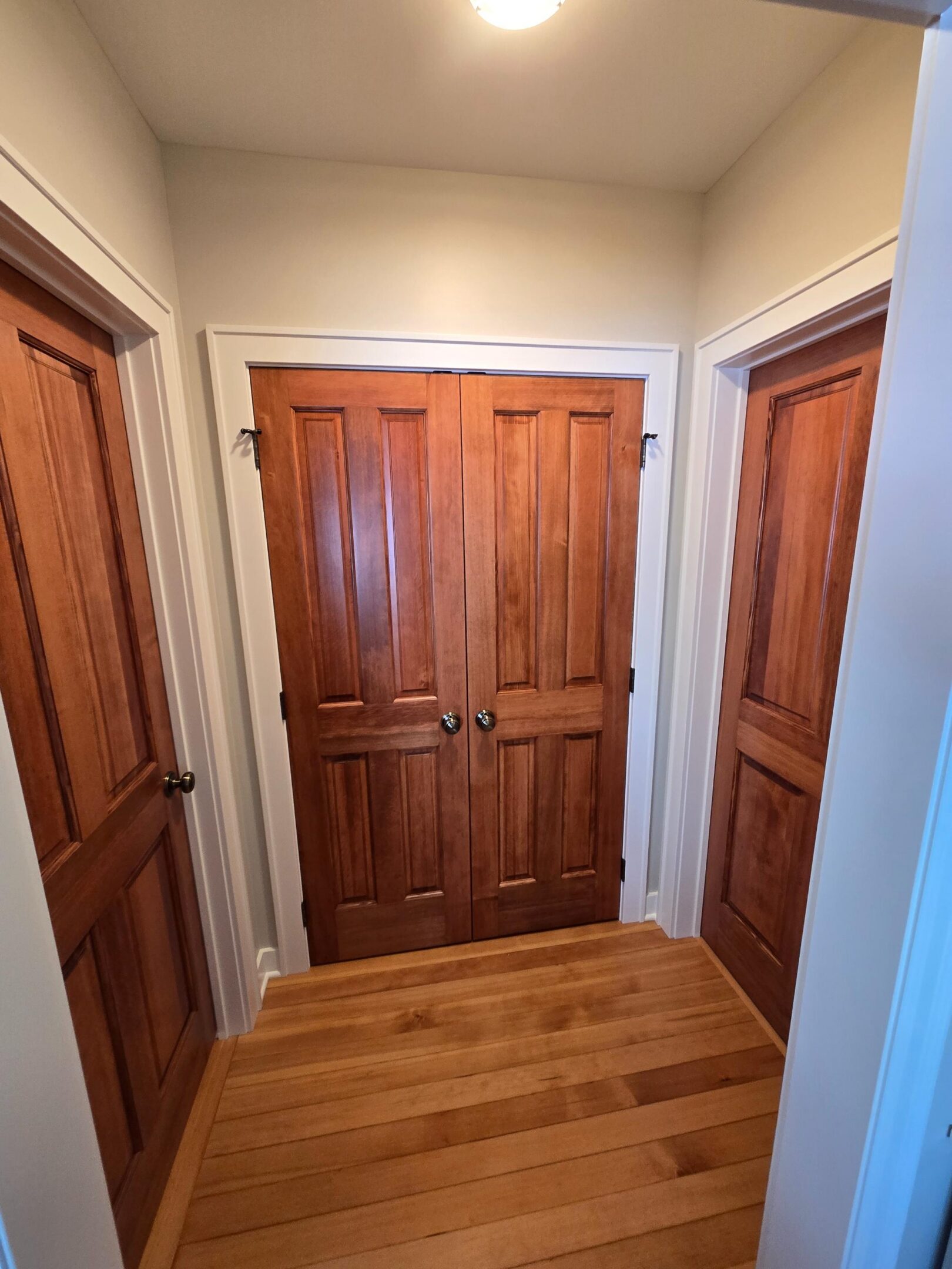 Hallway with three wooden doors and hardwood floor